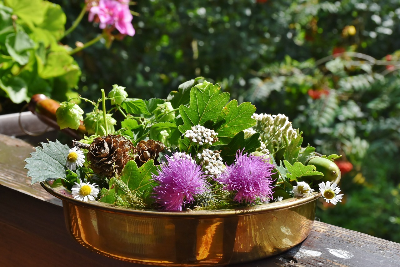 新晃紅網(wǎng)最新消息全面解讀（一），深度解析最新動(dòng)態(tài)